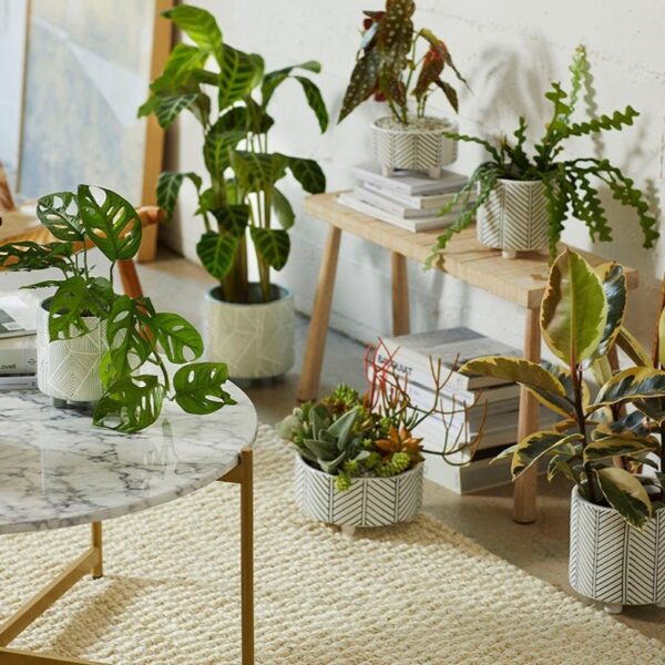 Geometric Planter Cloud Large - Image 2
