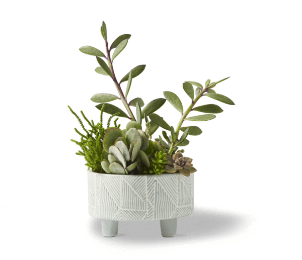 Geometric Planter Moss Large
